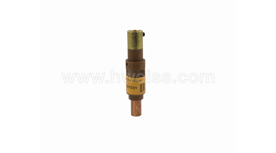 DD-27231 - Electrode Assembly