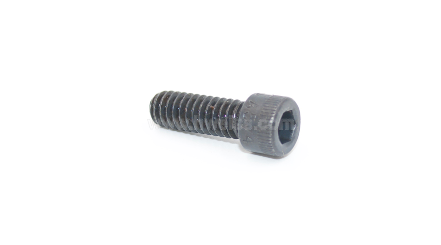 RN-055 Guide Bar Screws