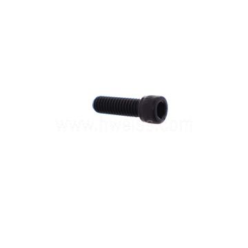 L-60304 1/4 - 20 x 1 SHCS