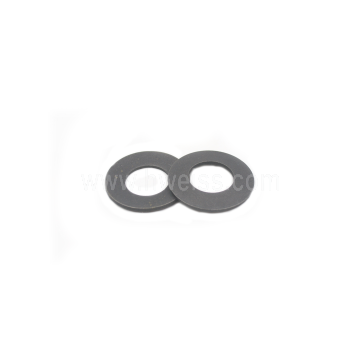 RW-657033154 Washer, Spring (Model 1018 & 816)